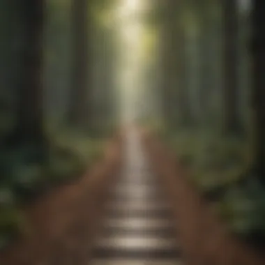 The Path to Self-Awareness A visual metaphor illustrating self-awareness