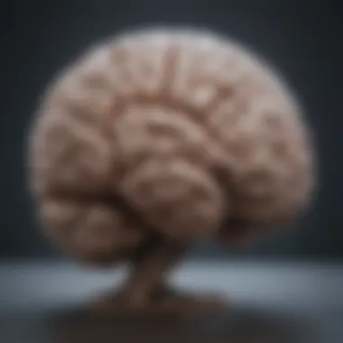 Brain Transformation: Learning and Adaptation Transformation of the brain through learning and adaptation.