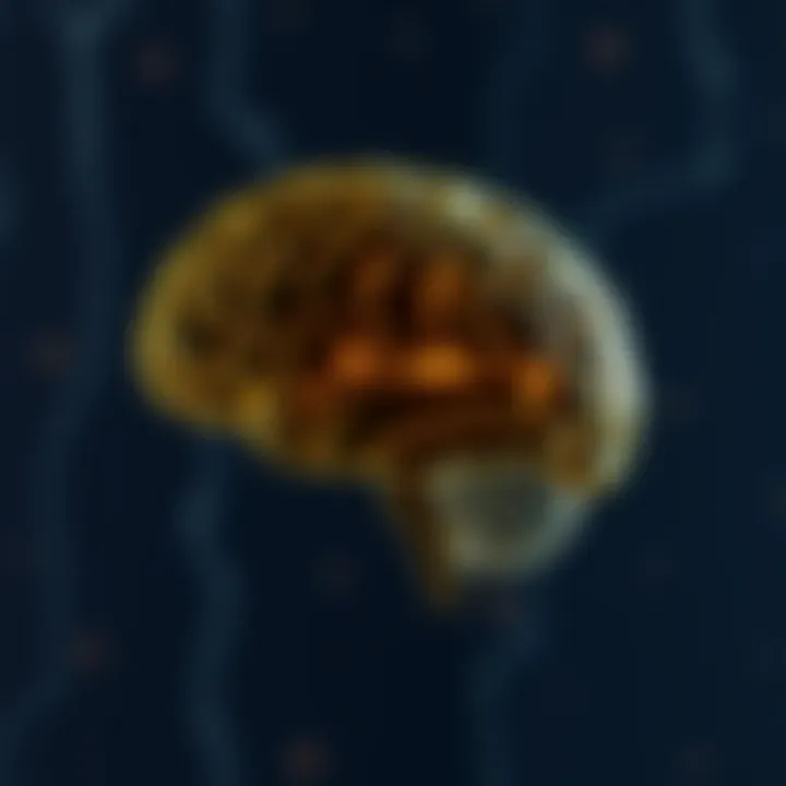 A brain diagram illustrating emotional regulation mechanisms