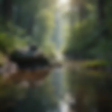 Mindfulness in Nature A serene landscape promoting mindfulness