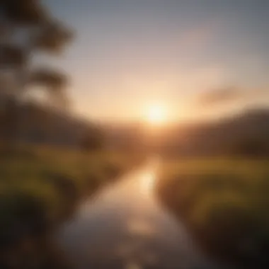 New Beginnings: The Power of Appreciation A serene landscape with a sunrise symbolizing new beginnings and appreciation