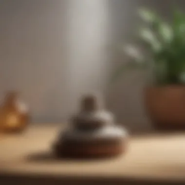Minimalist Meditation Decor Minimalist decor featuring calming colors and natural elements.
