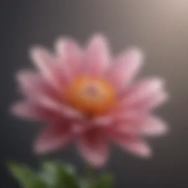 Blooming Potential: The Journey of Personal Growth A close-up of a blooming flower representing personal growth