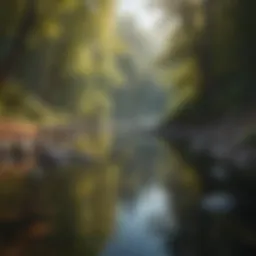 A serene landscape symbolizing tranquility and mindfulness