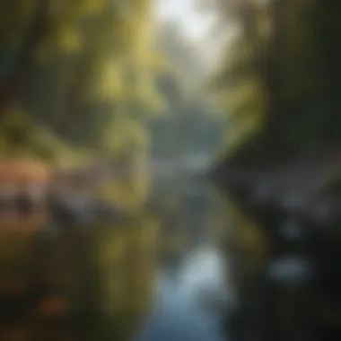Tranquility in Nature A serene landscape symbolizing tranquility and mindfulness