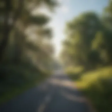 Embracing the Journey: Nature's Calm A serene view of a winding road surrounded by nature