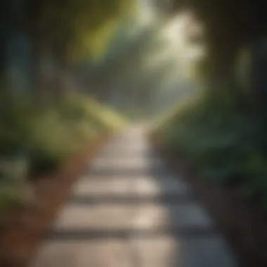 Pathway to Constructive Dialogue Pathway leading towards constructive dialogue and growth