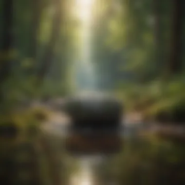 Mindfulness in Nature Serene landscape promoting mindfulness