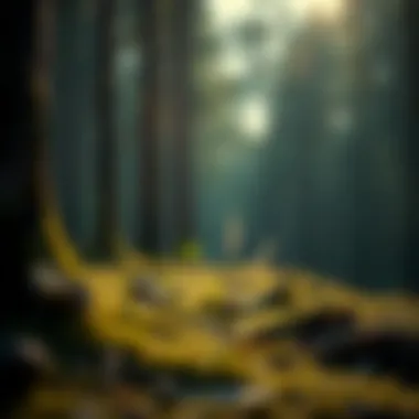 Grounding exercise with nature elements