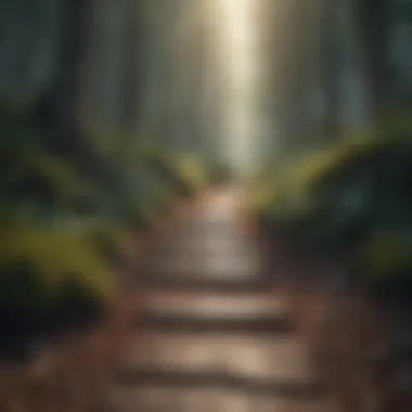 A serene nature scene depicting a path leading through a forest.