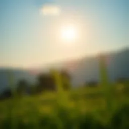 A serene landscape illustrating the essence of tranquility and joy