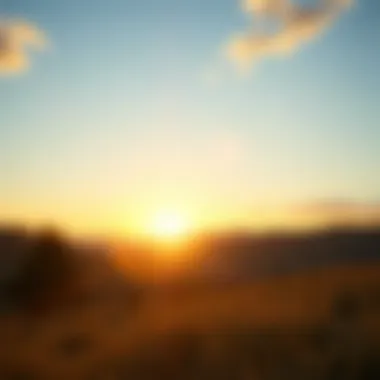 A vibrant sunrise symbolizing new beginnings and positivity