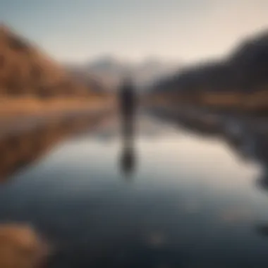 Reflection in Solitude A solitary figure gazing out at a desolate landscape