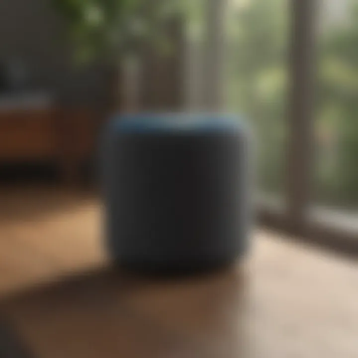 Close-up of an Alexa device amidst a relaxing atmosphere