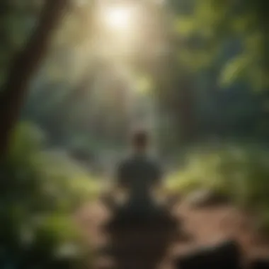 Person meditating in a serene outdoor setting