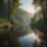 A serene landscape reflecting mindfulness and introspection