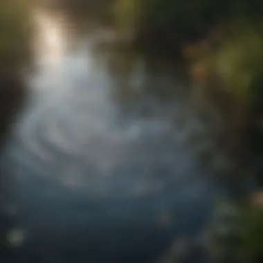 Ripples of Kindness An artistic representation of kindness spreading like ripples in a pond.
