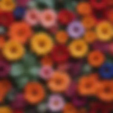 A close-up of vibrant flowers symbolizing the diversity of life