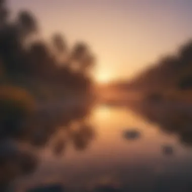 Embracing Nature's Beauty A serene landscape showcasing the beauty of nature during sunrise