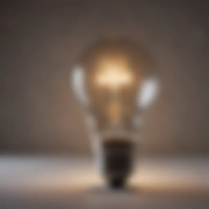 A lightbulb representing new ideas and insights