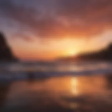 Vibrant Sunset of Life A vibrant sunset symbolizing the beauty of life