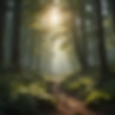 Tranquil forest landscape with soft sunlight filtering through trees