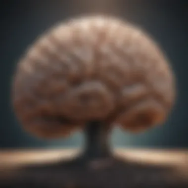Cultivating Emotional Awareness A brain illustration depicting emotional intelligence
