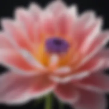 A close-up of a blooming flower symbolizing personal growth