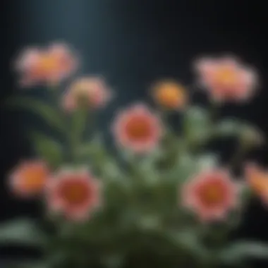 Symbol of Growth A close-up of blooming flowers symbolizing growth and renewal
