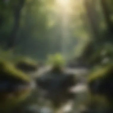 Nature's embrace for mindful moments Relaxing nature scene for mindfulness