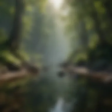 Tranquil Nature: A Haven of Calmness A peaceful nature scene illustrating tranquility and calmness.