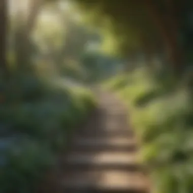 Journey Through Serenity A path leading through a peaceful garden, symbolizing the journey to self-peace.