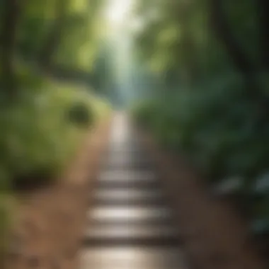 Pathway to Mindfulness A pathway symbolizing personal growth and self-discovery
