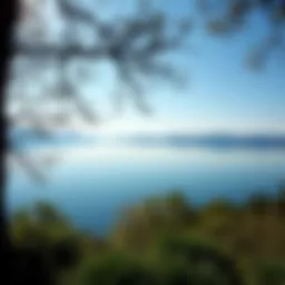 Tranquil nature scene with a serene lake