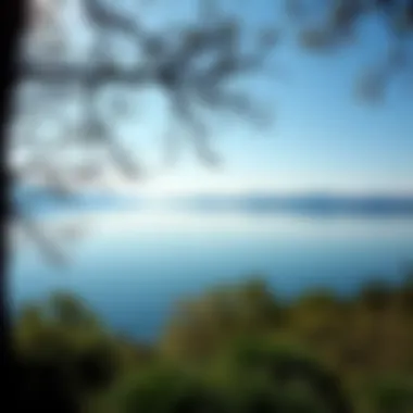 Tranquil nature scene with a serene lake