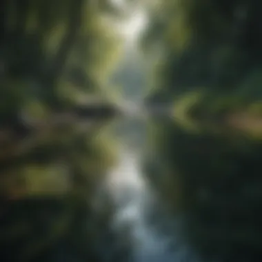 Nature's Tranquility A serene landscape with calming water and lush greenery.