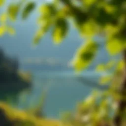 A serene landscape showcasing a tranquil lake surrounded by lush greenery