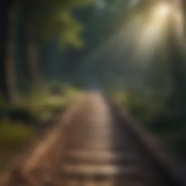 Journey of Forgiveness A pathway leading towards light, symbolizing a journey of forgiveness.