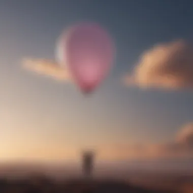 A symbolic representation of letting go, such as a balloon in the sky