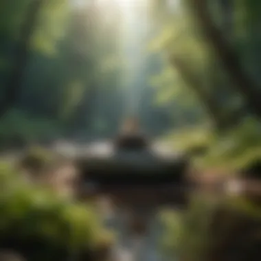 Mindfulness in Nature Visualization of mindfulness practices with nature backdrop