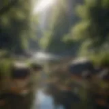 Serene landscape promoting tranquility