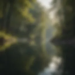 Serene landscape with calm water reflecting trees