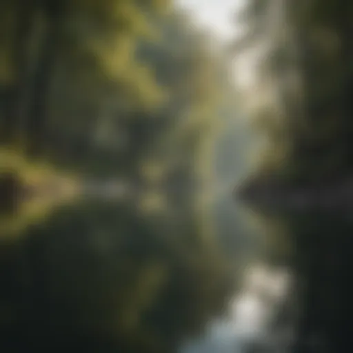 Serene landscape with calm water reflecting trees