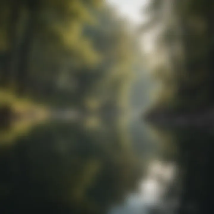 Serene landscape with calm water reflecting trees