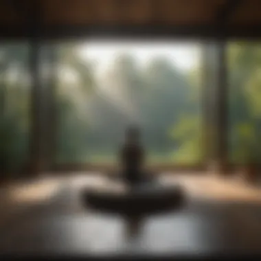 An Open Space for Practice An open space for meditation practice