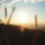 A serene landscape symbolizing emotional healing