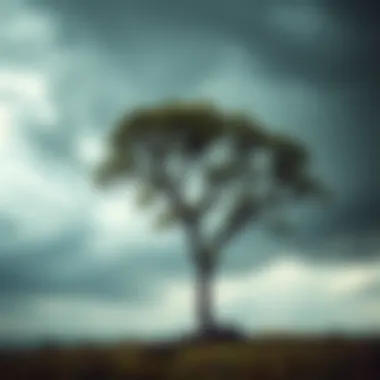 Strength in Adversity A visual metaphor for emotional resilience depicted through a steady tree in the storm