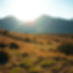 A serene landscape representing mental clarity