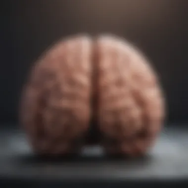 Brain Stress Indicators Illustration of the brain with stress indicators