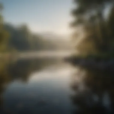 Embracing Tranquility A serene landscape reflecting tranquility and mindfulness